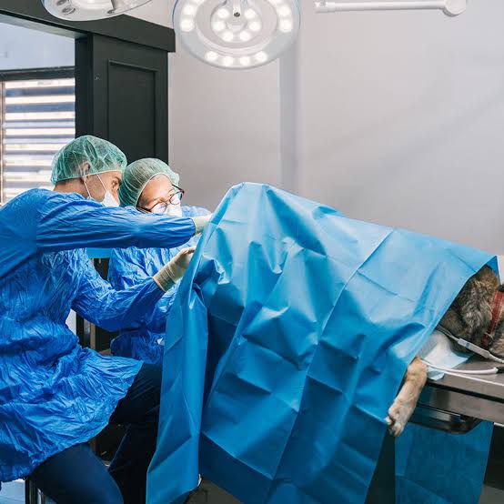 Surgical drapes and robotic equipment drapes